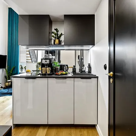 Tempus Te Premium Duo Lofts - Private Cinema, Gym And Terrace Tartu