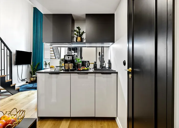 Tempus Te Premium Duo Lofts - Private Cinema, Gym And Terrace Tartu